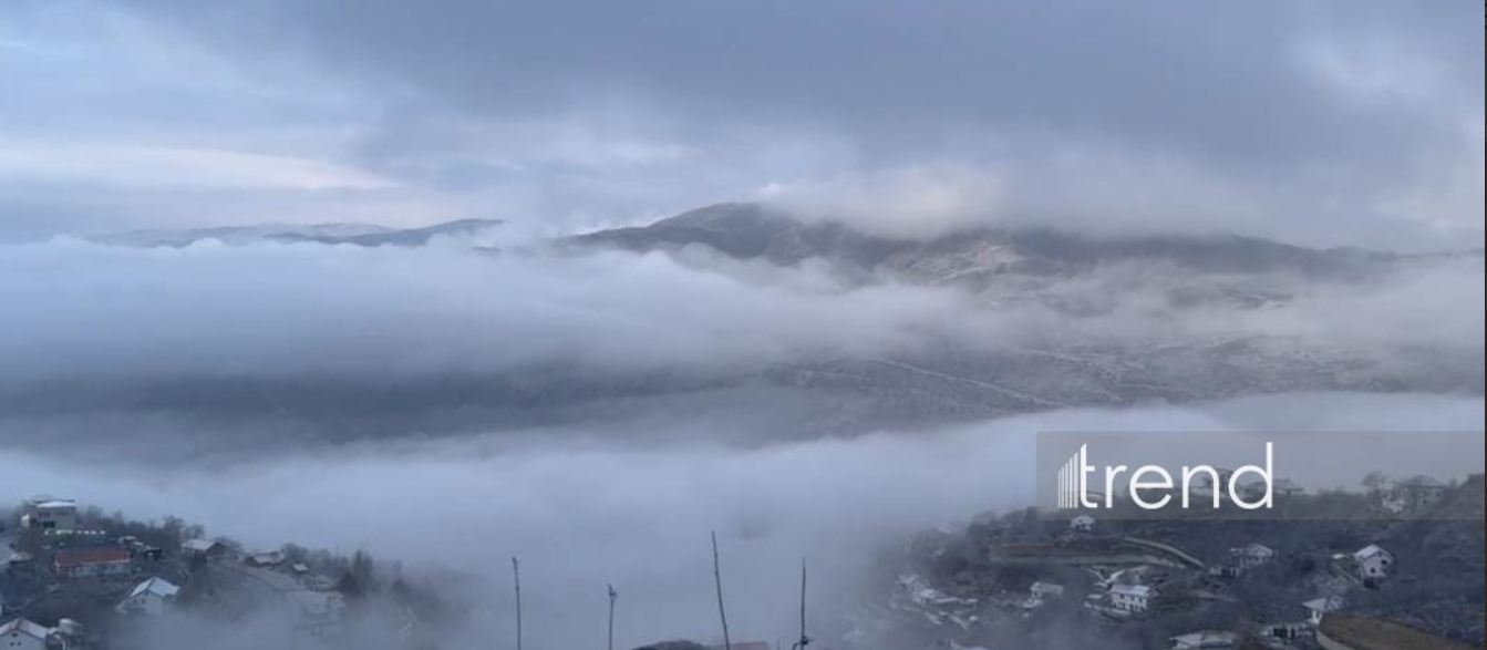 Laçına da qar yağır (FOTO)